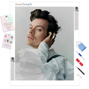 Harry Styles Guardian Weekend Portrait | Diamond Painting