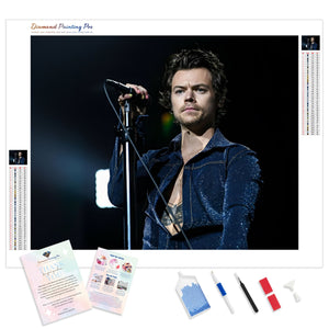 Harry Styles Holding Mic | Diamond Painting