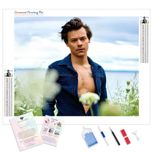 Harry Styles The Star | Diamond Painting