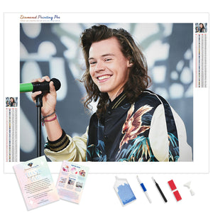 Harry Styles Smiling | Diamond Painting