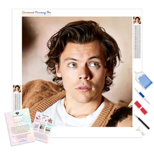 Harry Styles | Diamond Painting