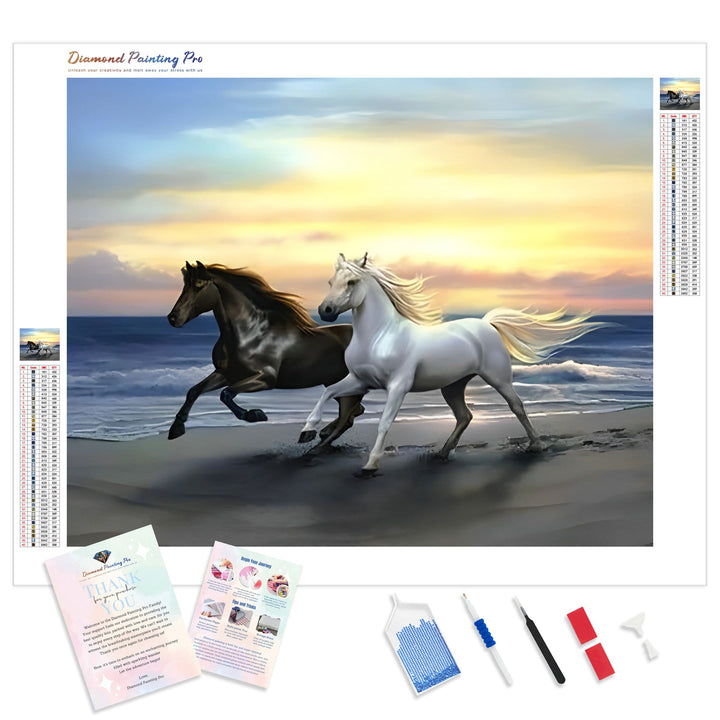 Seaside Stallion in Harmony | Diamond Painting