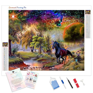 Black Horse Rainbow | Diamond Painting