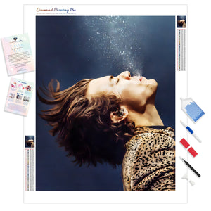 Harry Style Drowning | Diamond Painting