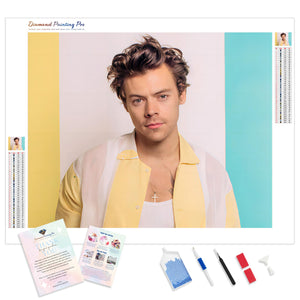 Handsome Harry Styles | Diamond Painting Kit - Full Drill - Square or Round Diamonds with AB Drills Option