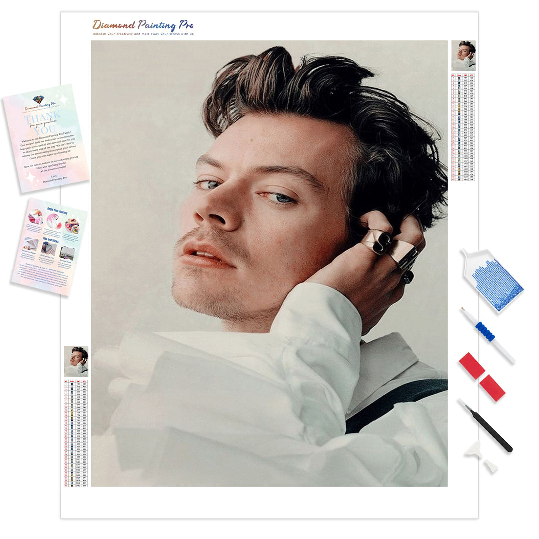 Cool Harry Styles | Diamond Painting