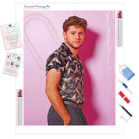 Handsome Niall Horan | Diamond Painting