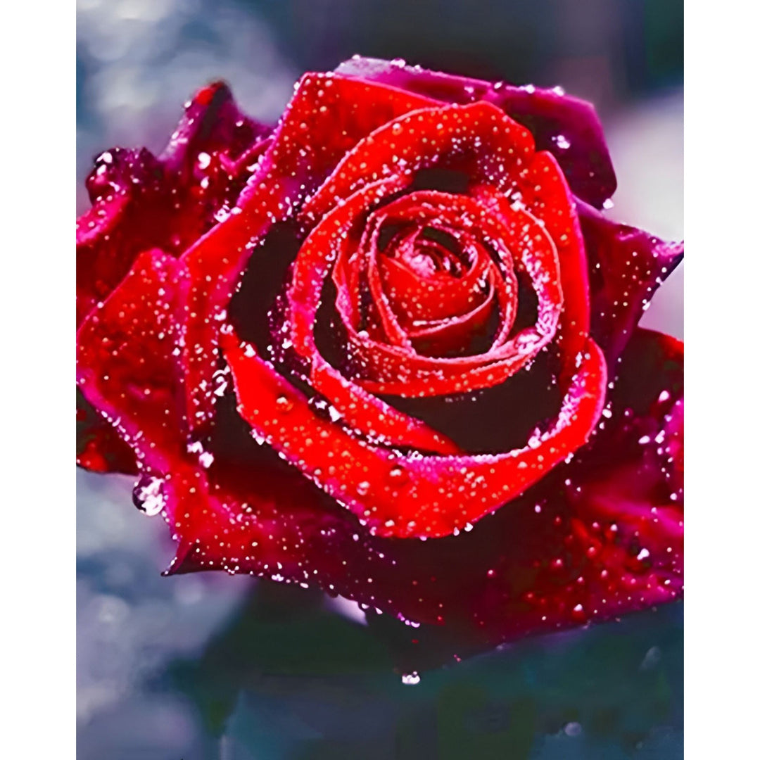 Red Rose with Dew | Diamond Painting