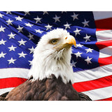 American Eagle and Flag | Diamond Painting Design - Full Drill Diamond Art with 5d Square or Round Diamonds - AB Drills Available