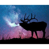 Moose under Cold Cold Night | Diamond Painting Design - Full Drill Diamond Art with 5d Square or Round Diamonds - AB Drills Available