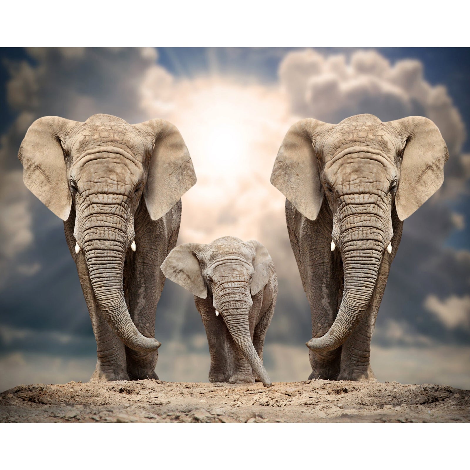 Elephant Family Under the Sun | Diamond Painting Design - Full Drill Diamond Art with 5d Square or Round Diamonds - AB Drills Available