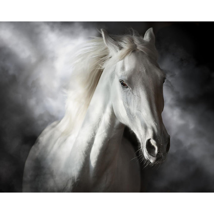 White Stallion | Diamond Painting