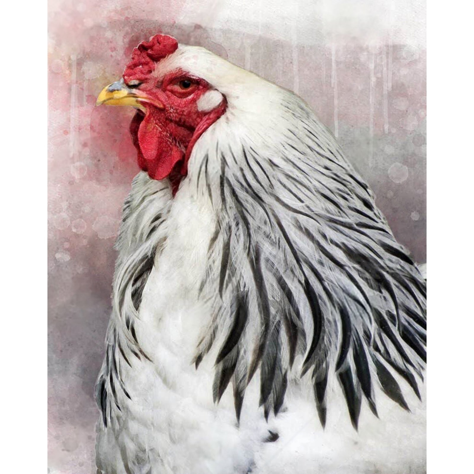 Brahma Rooster | Diamond Painting Design - Full Drill Diamond Art with 5d Square or Round Diamonds - AB Drills Available