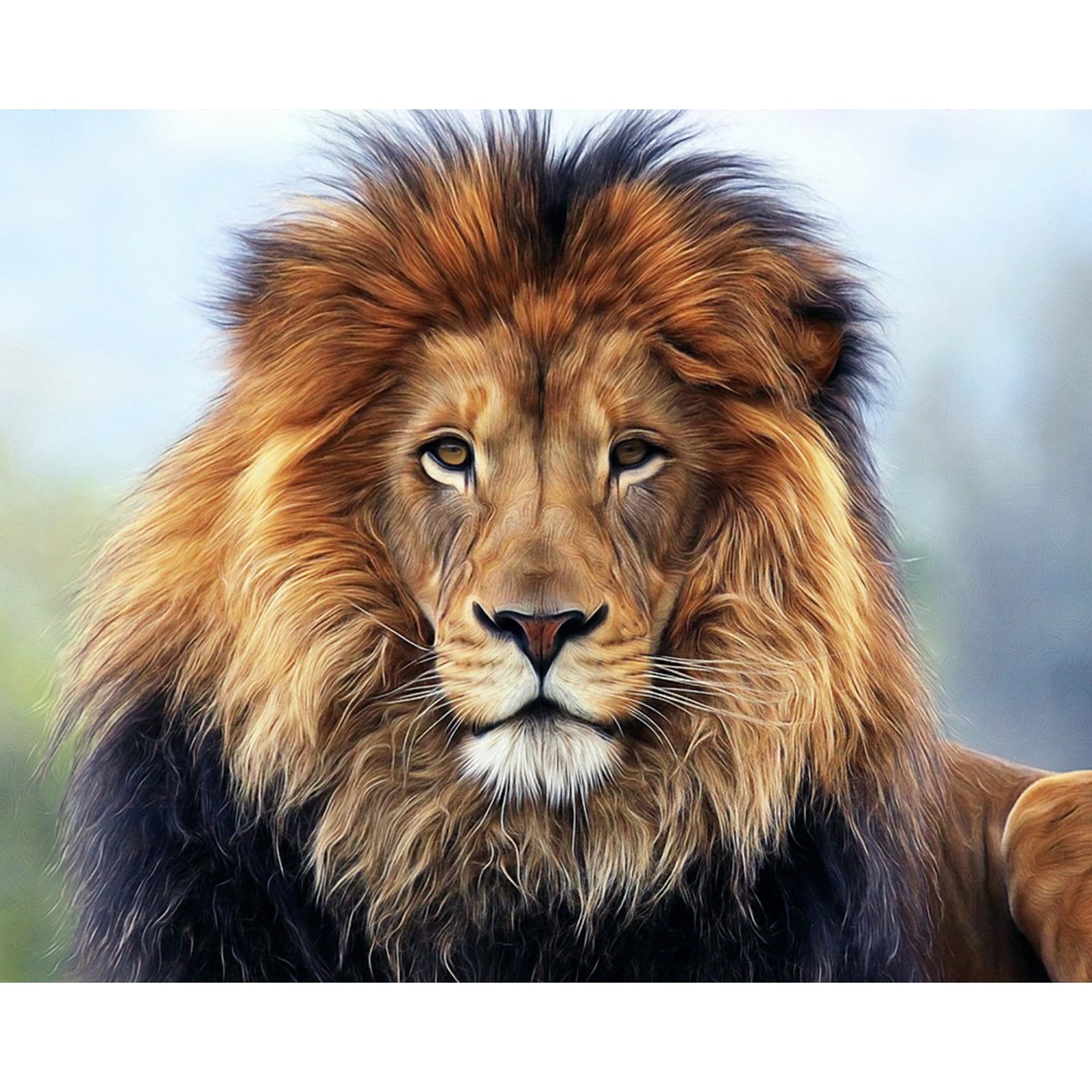 King lion | Diamond Painting Design - Full Drill Diamond Art with 5d Square or Round Diamonds - AB Drills Available