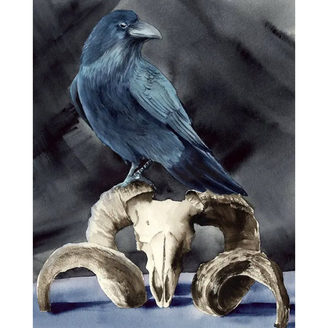 Raven | Diamond Painting