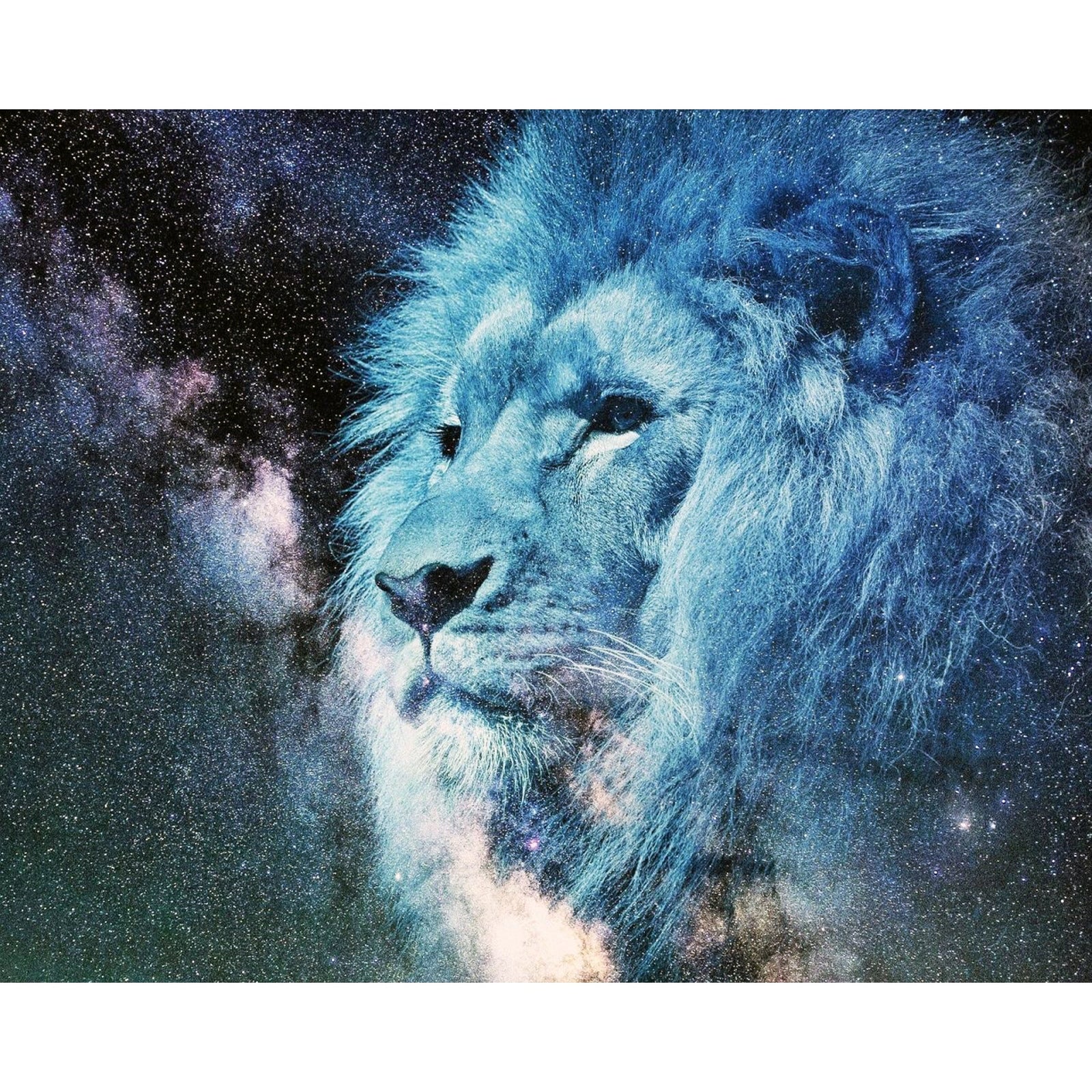 Starry Sky Lion | Diamond Painting Design - Full Drill Diamond Art with 5d Square or Round Diamonds - AB Drills Available