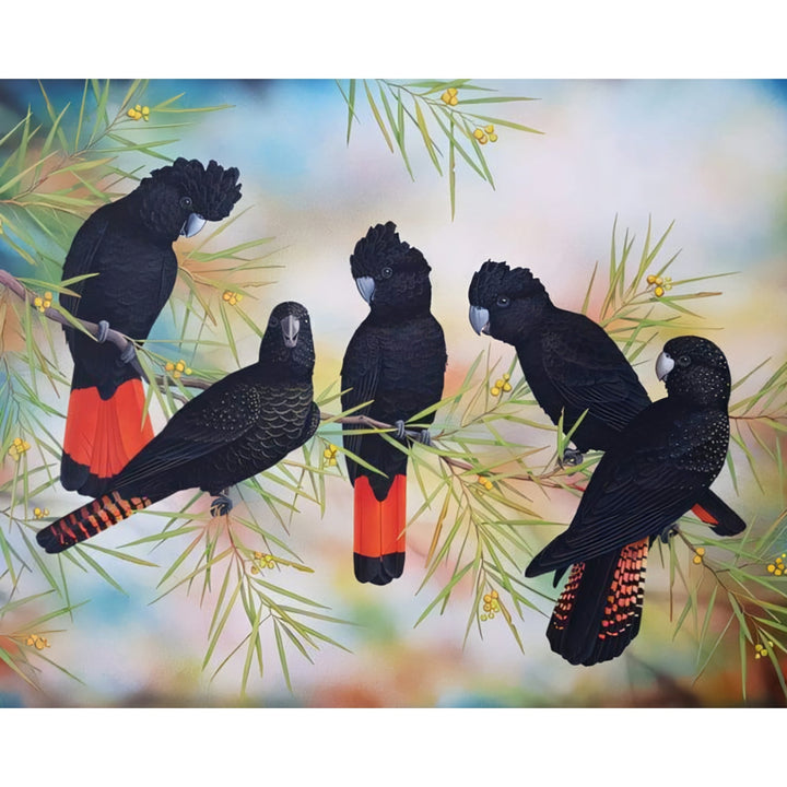 Black Cockatoos | Diamond Painting