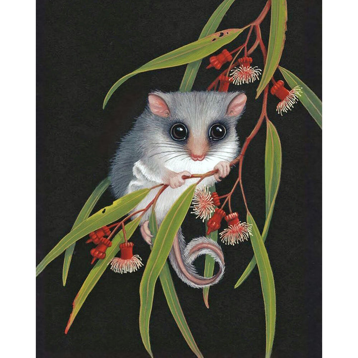 Feathertail Glider & Coral Gum | Diamond Painting