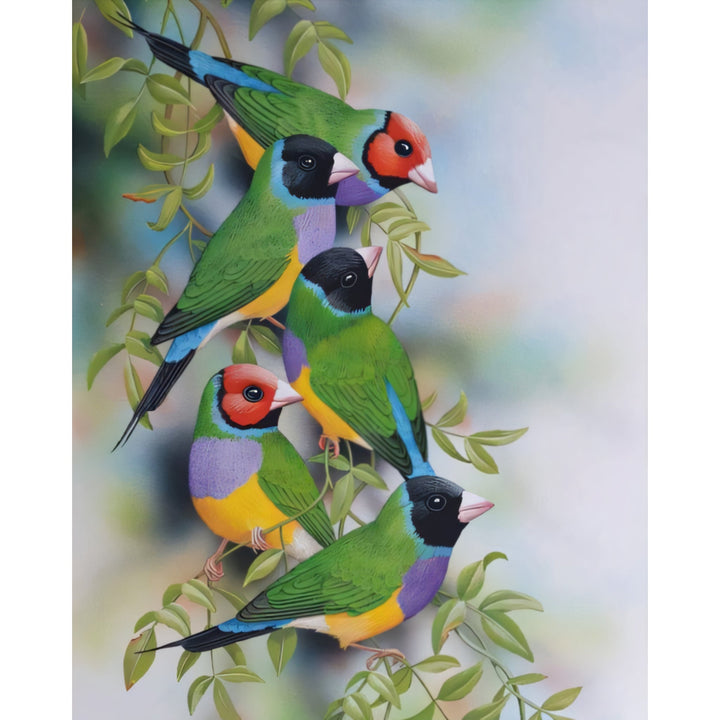 Gouldian Finches | Diamond Painting