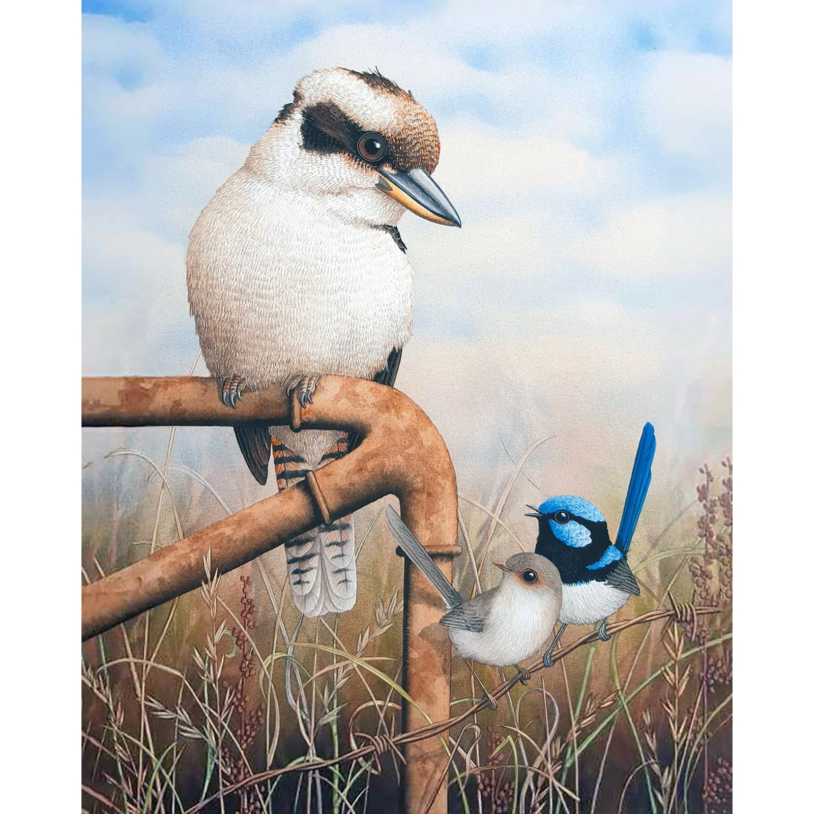 Kookaburra & Wrens | Diamond Painting Design - Full Drill Diamond Art with 5d Square or Round Diamonds - AB Drills Available