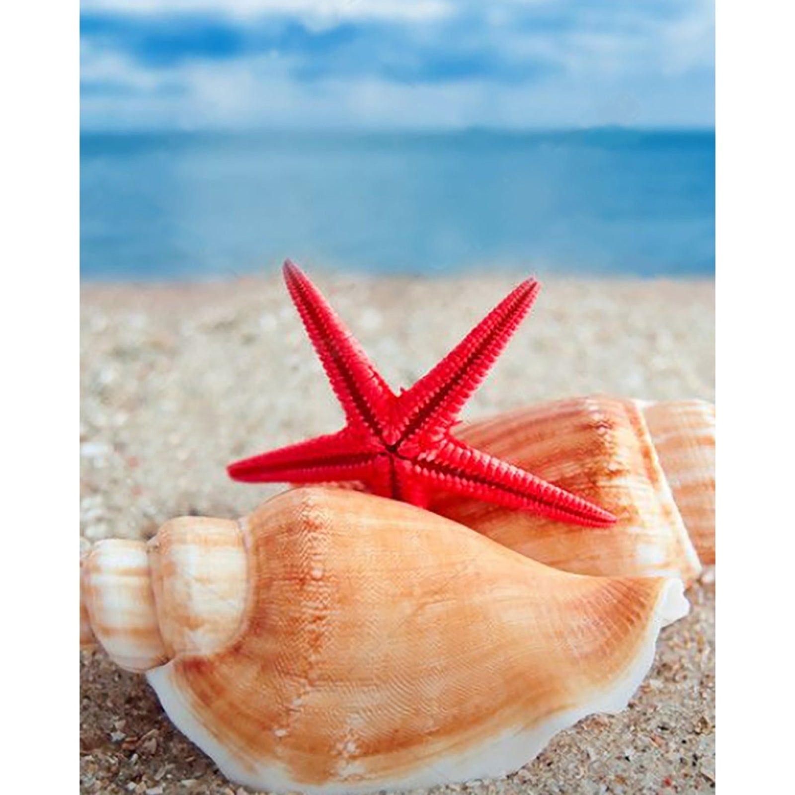 Shells and Starfish on Beach | Diamond Painting Design - Full Drill Diamond Art with 5d Square or Round Diamonds - AB Drills Available