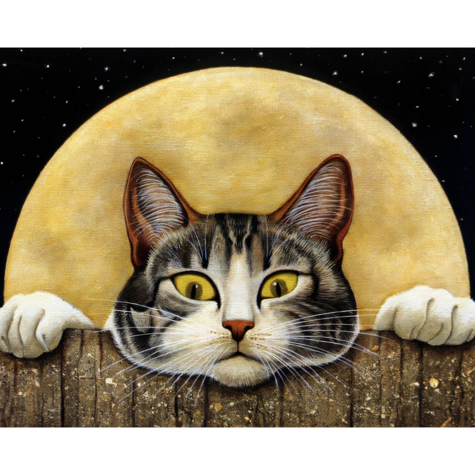 Funny Cat | Diamond Painting Design - Full Drill Diamond Art with 5d Square or Round Diamonds - AB Drills Available