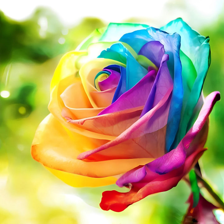 Rainbow Flower | Diamond Painting