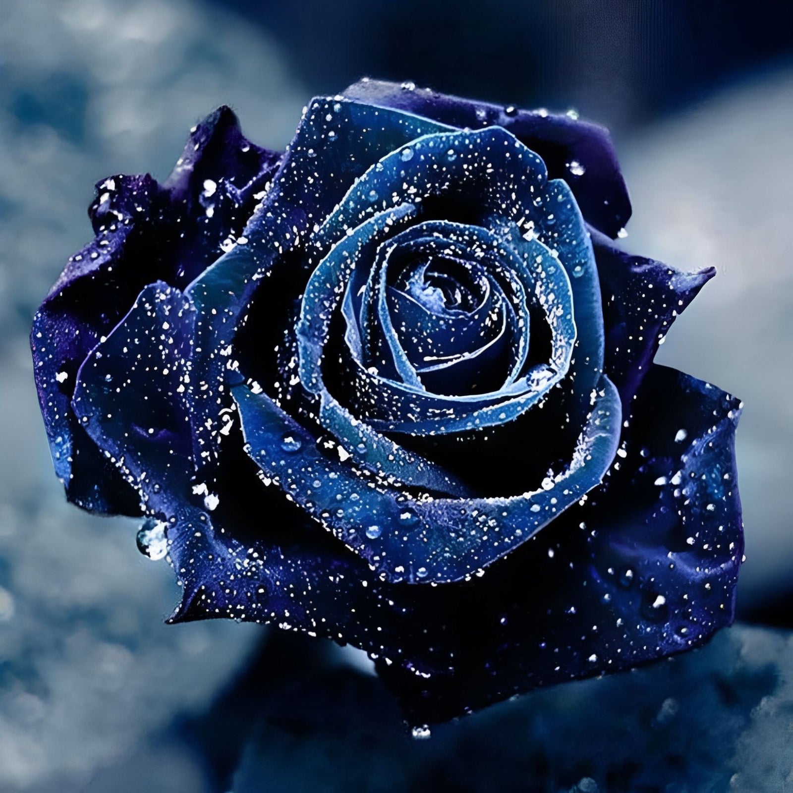 Blue Rose | Diamond Painting Design - Full Drill Diamond Art with 5d Square or Round Diamonds - AB Drills Available