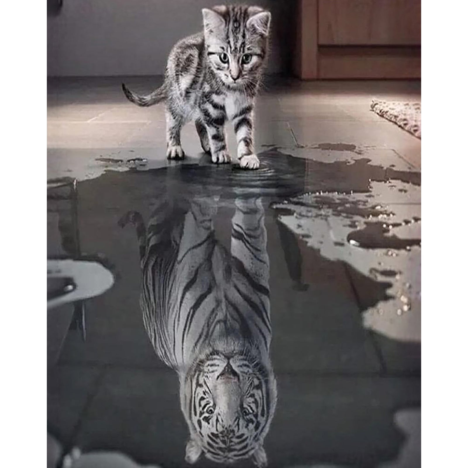 Cat Or Tiger | Diamond Painting Design - Full Drill Diamond Art with 5d Square or Round Diamonds - AB Drills Available