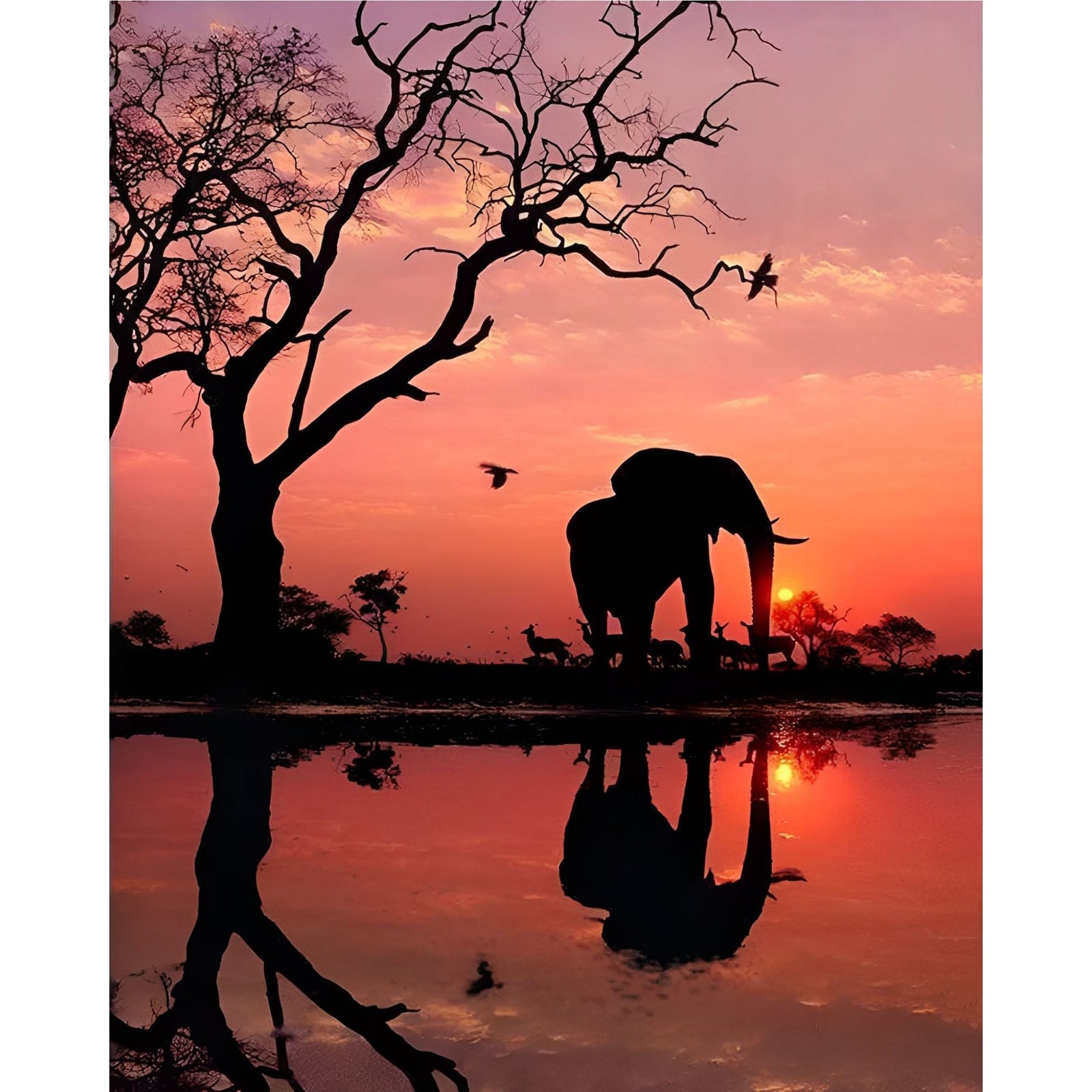 Sunset Landscape Elephant | Diamond Painting Design - Full Drill Diamond Art with 5d Square or Round Diamonds - AB Drills Available