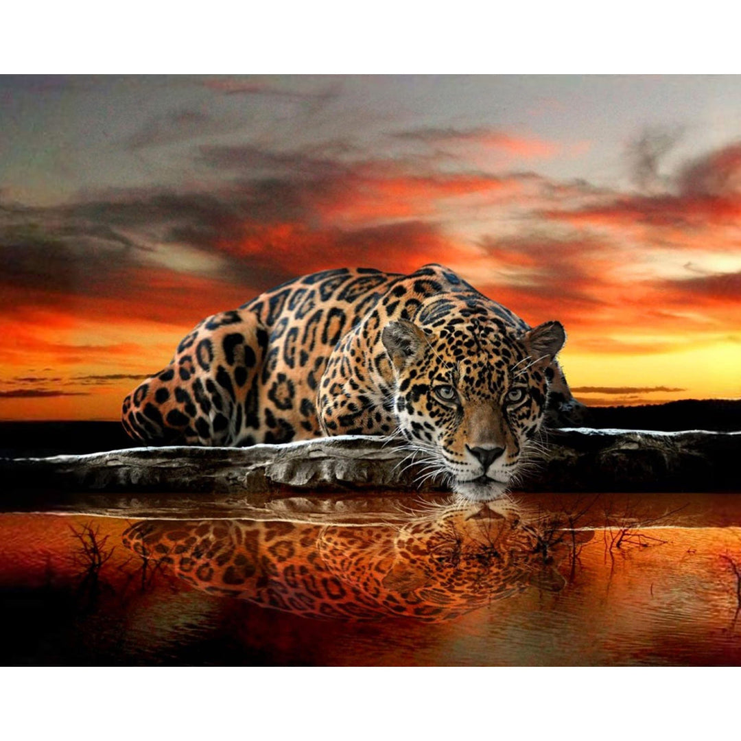 Sunset And Lakeside Leopard | Diamond Painting