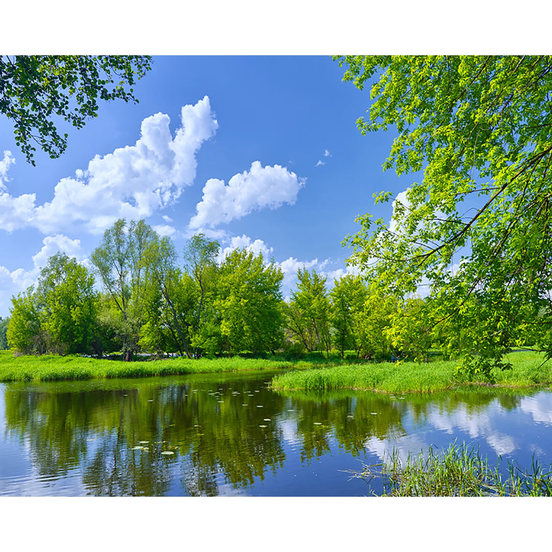 Spring Nature Forest Lake | Diamond Painting