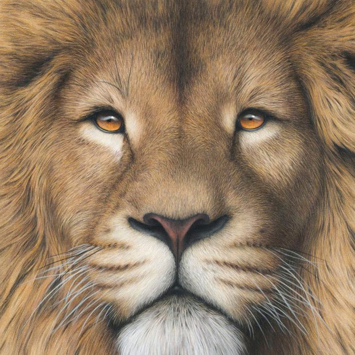 Cartoon Lion Face | Diamond Painting
