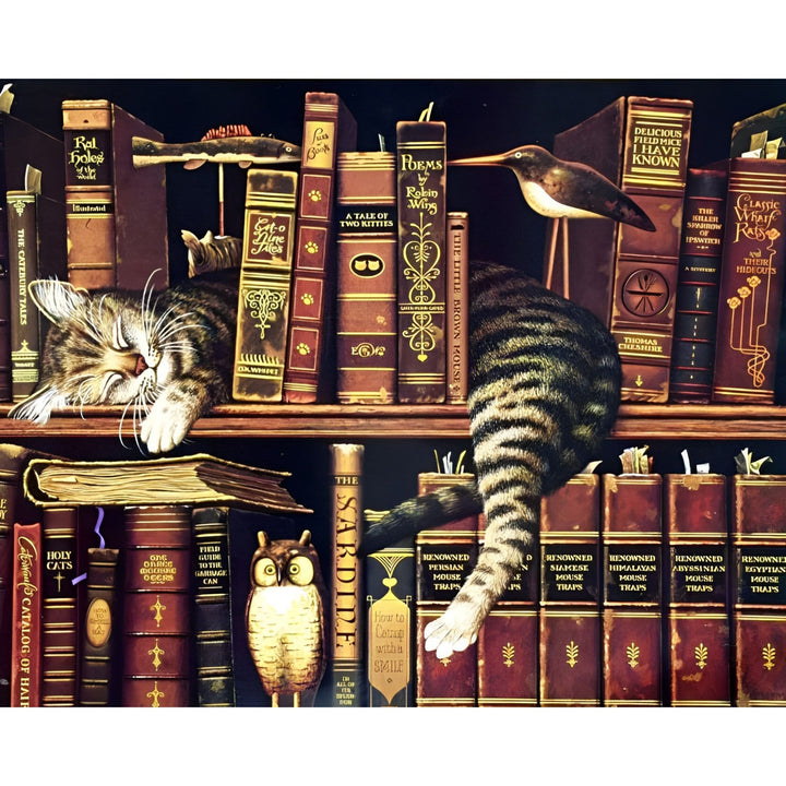 The Cat Sleeping On Shelf | Diamond Painting