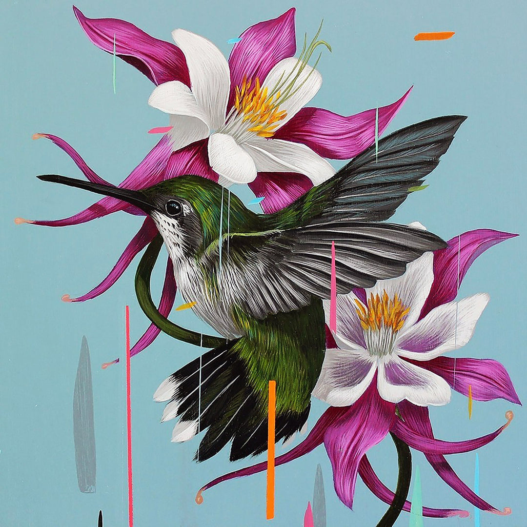 Colibri Bird | Diamond Painting
