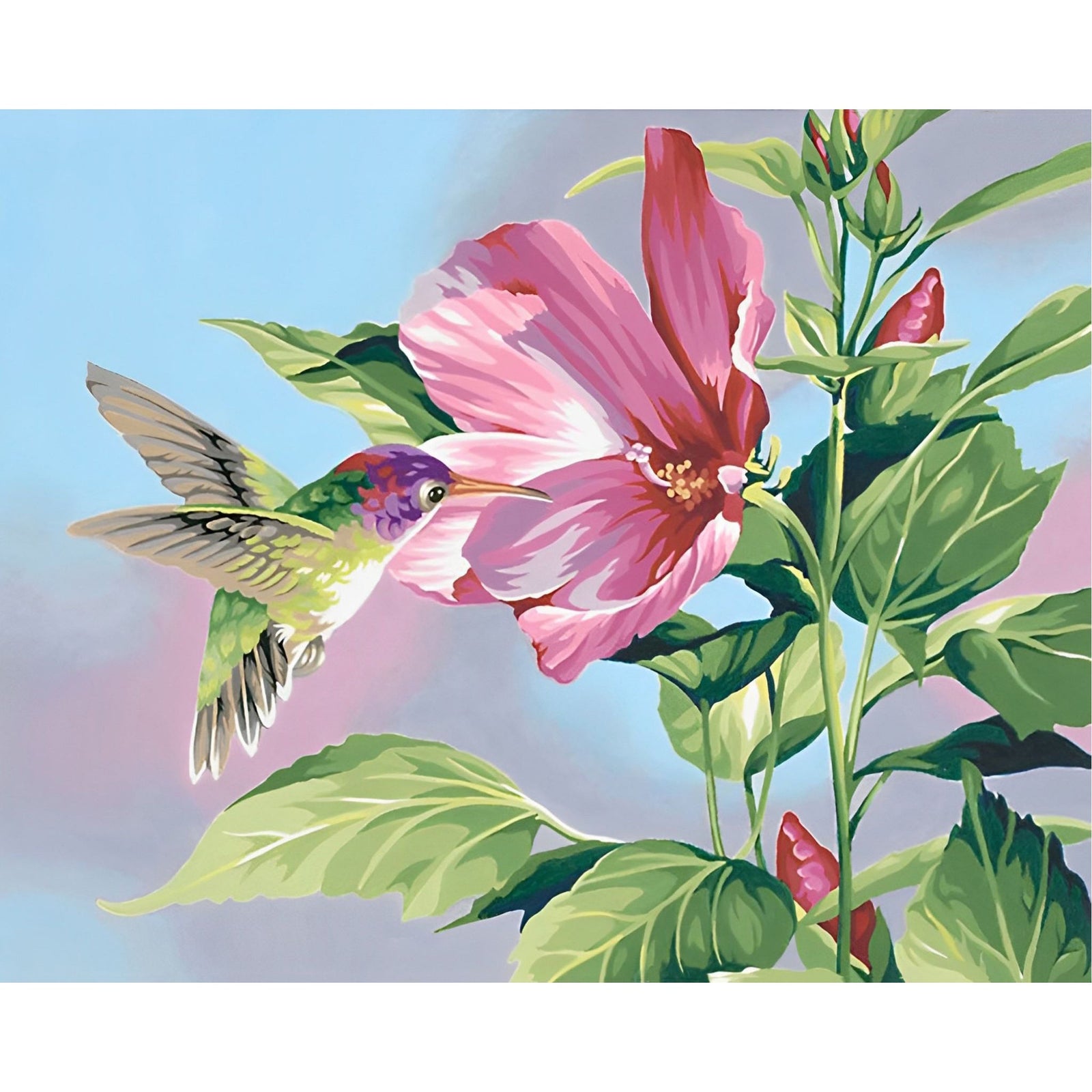 The Pinky Hummingbird | Diamond Painting Design - Full Drill Diamond Art with 5d Square or Round Diamonds - AB Drills Available