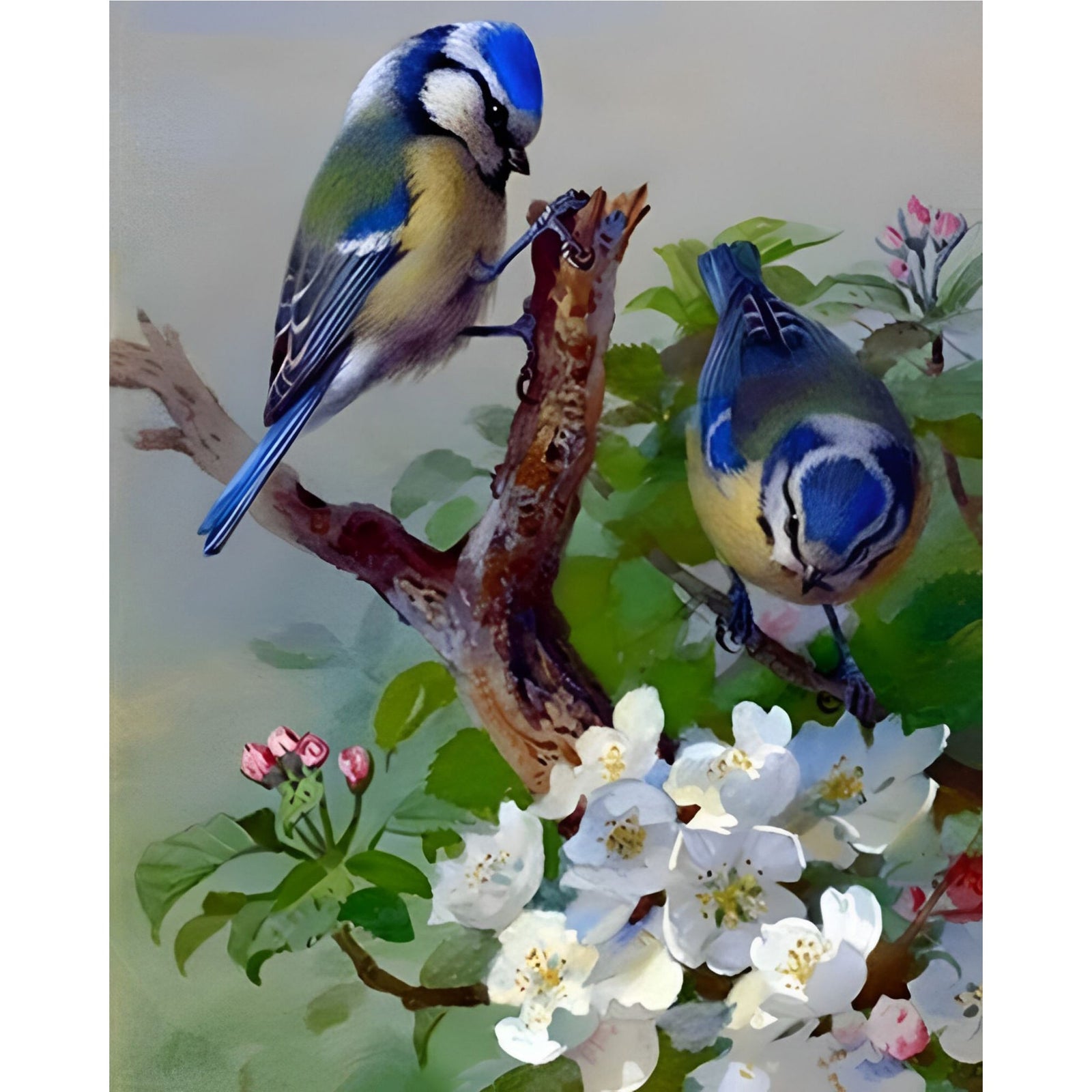 Flower Birds | Diamond Painting Design - Full Drill Diamond Art with 5d Square or Round Diamonds - AB Drills Available