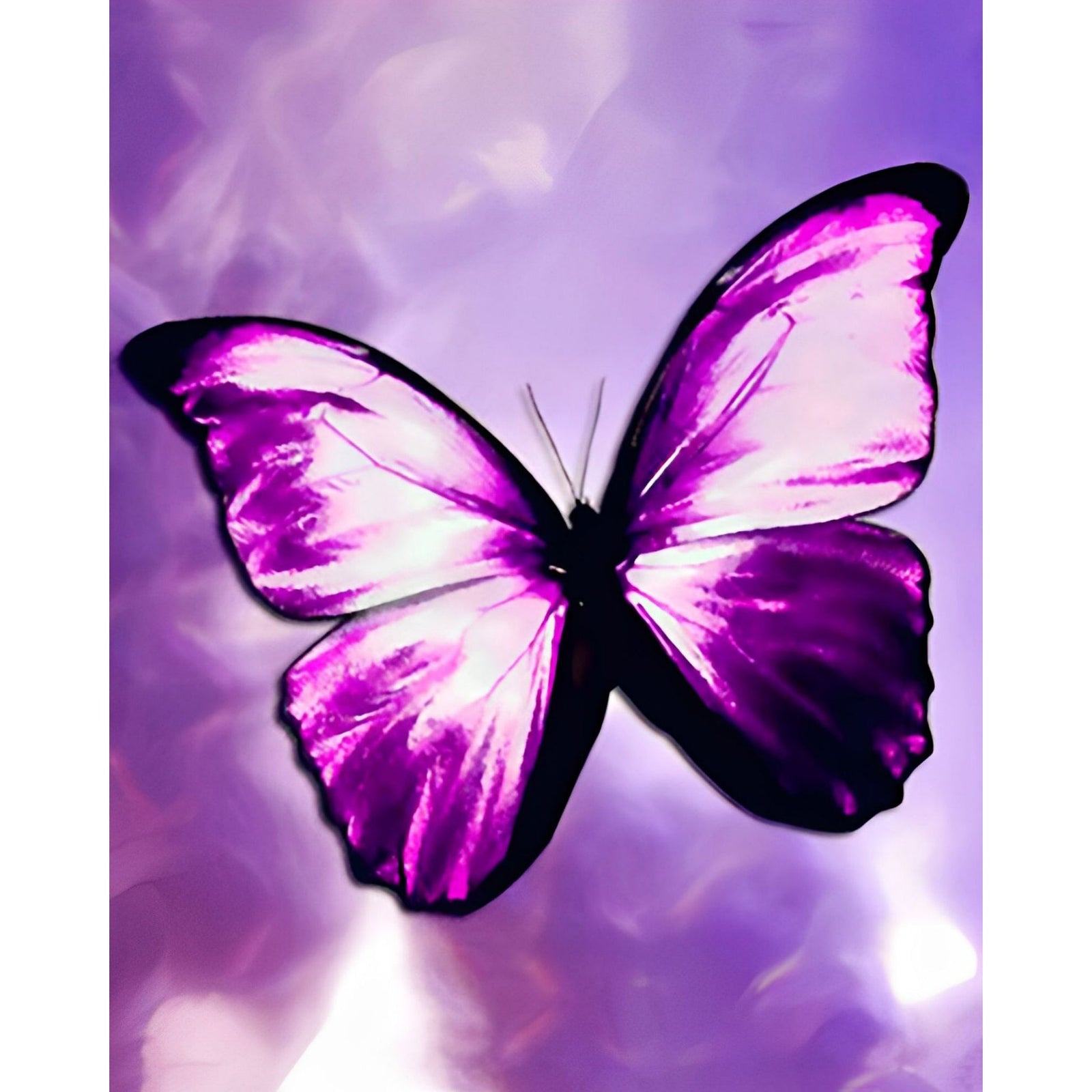 Purple Butterfly | Diamond Painting Design - Full Drill Diamond Art with 5d Square or Round Diamonds - AB Drills Available