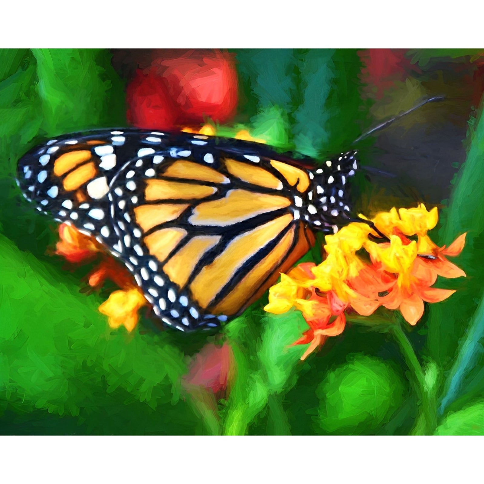 Monarch Butterfly Beauty | Diamond Painting Design - Full Drill Diamond Art with 5d Square or Round Diamonds - AB Drills Available