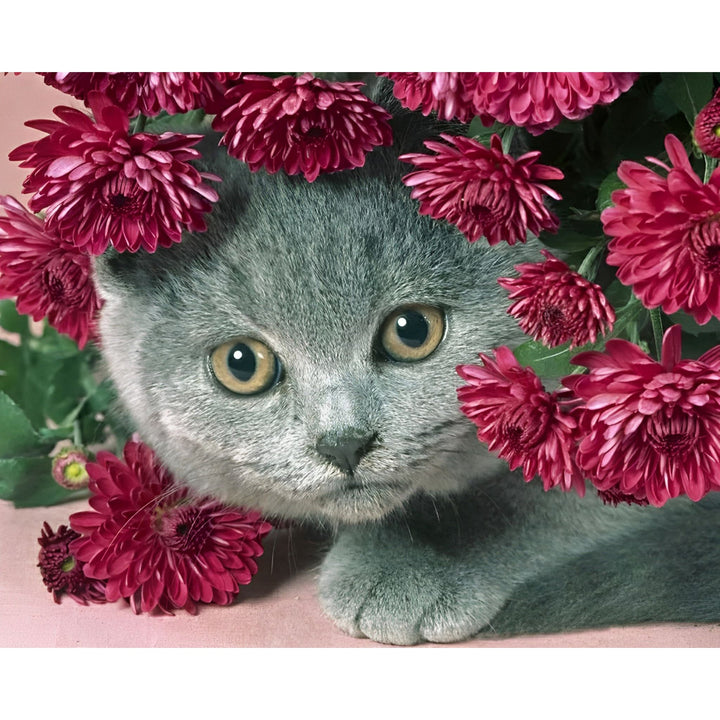 Cat giving Flowers | Diamond Painting