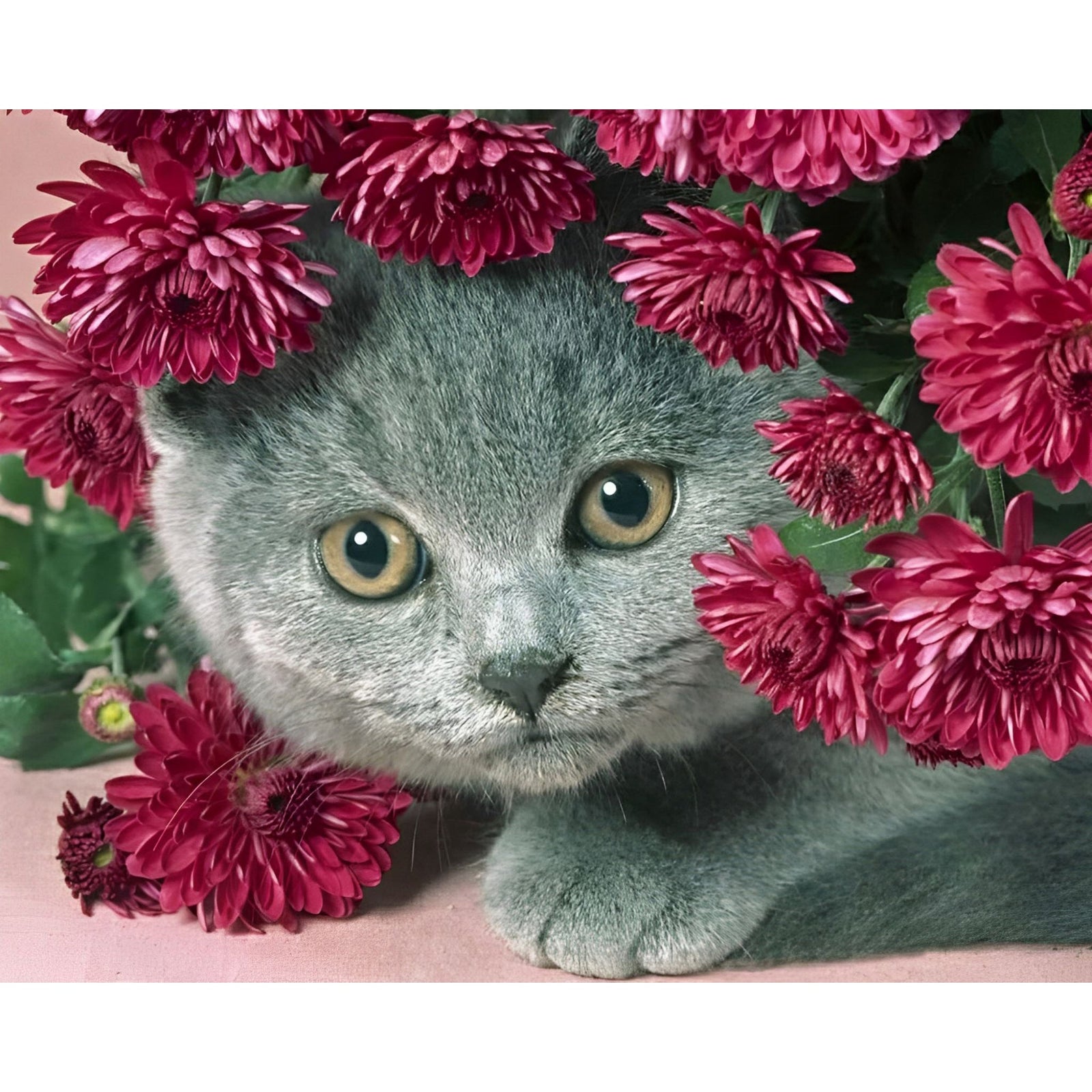 Cat giving Flowers | Diamond Painting Design - Full Drill Diamond Art with 5d Square or Round Diamonds - AB Drills Available