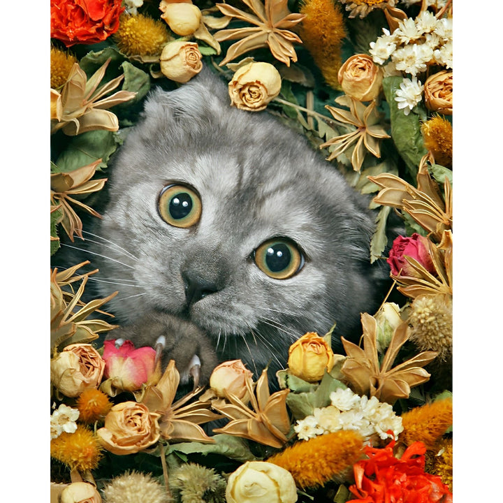 Cats in Flowers | Diamond Painting