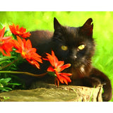 Cute Black Cats and Flowers | Diamond Painting Design - Full Drill Diamond Art with 5d Square or Round Diamonds - AB Drills Available