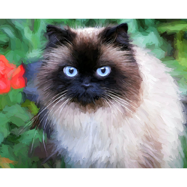 Fluffy Siamese Cat | Diamond Painting