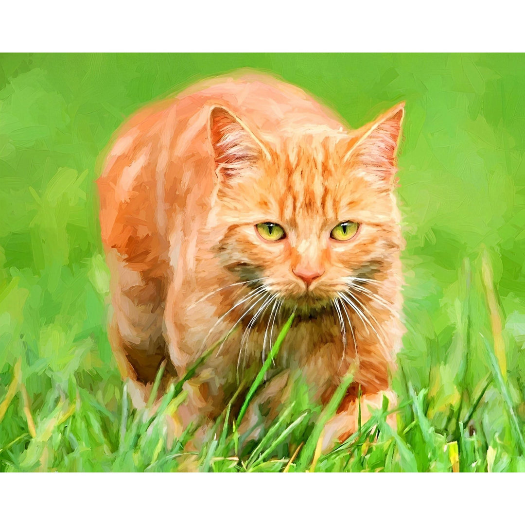 Orange Tabby Cat | Diamond Painting