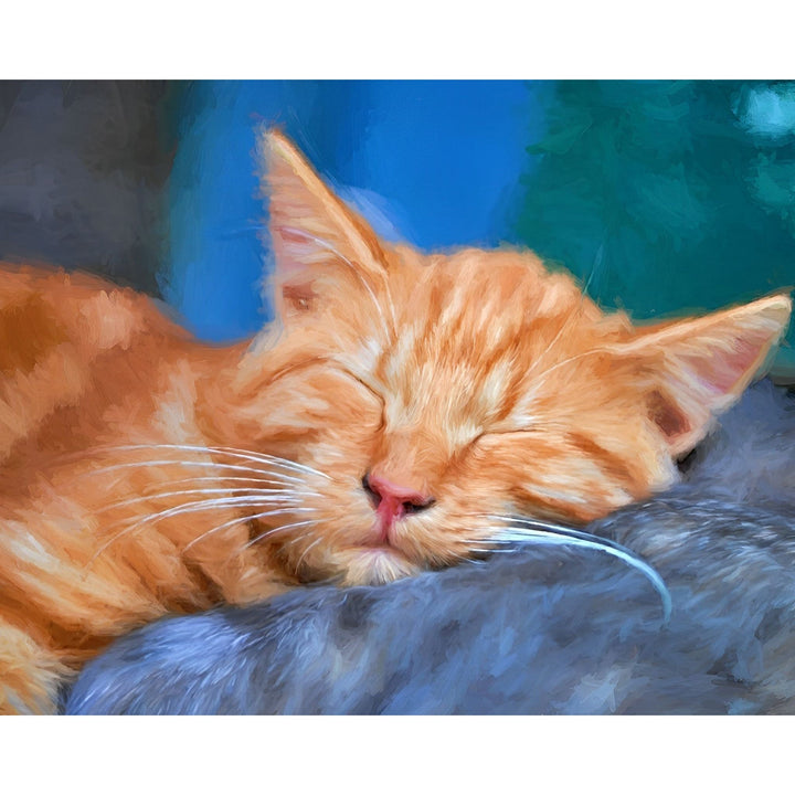 Sleeping Orange Tabby Cat | Diamond Painting