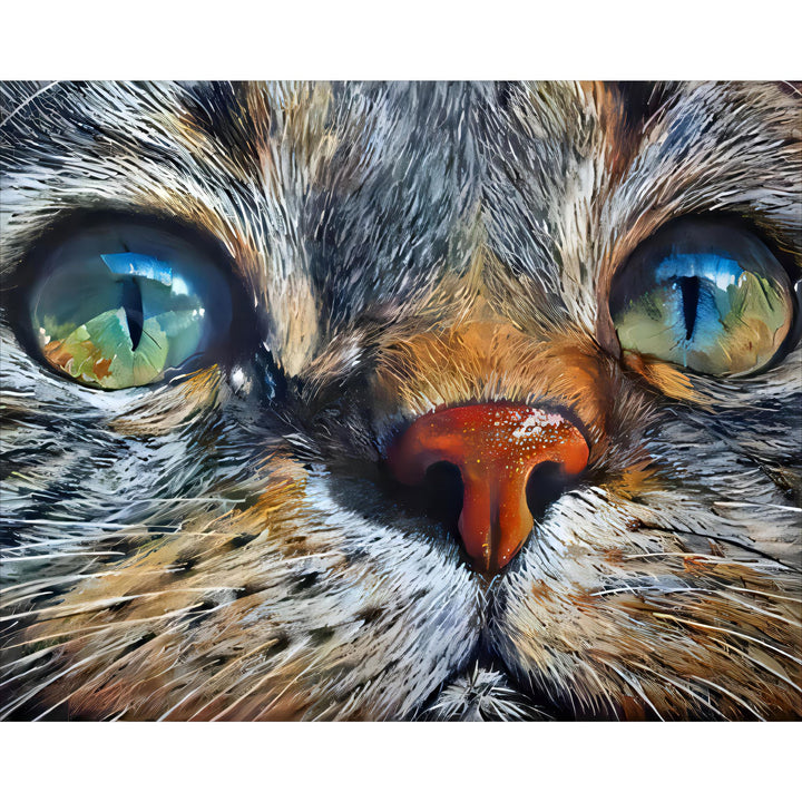 Close-up Cat's Galaxical Eyes
