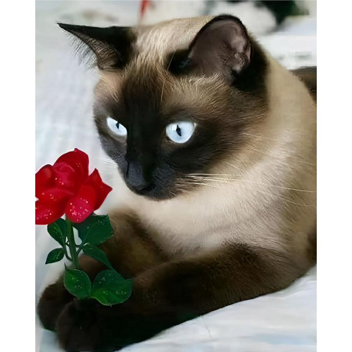 Romeo Kitty | Diamond Painting