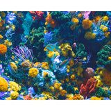 Blue and Gray Fish near Corals | Diamond Painting Design - Full Drill Diamond Art with 5d Square or Round Diamonds - AB Drills Available