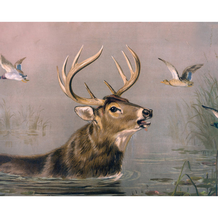 Stag in Water | Diamond Painting